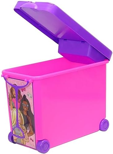 Barbie Tara Barbie Store It All