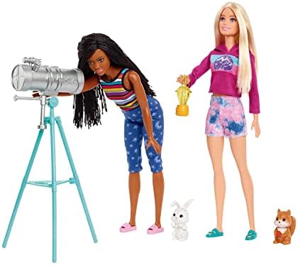 Barbie Dolls 20 It Takes Two Camping Tent Playset