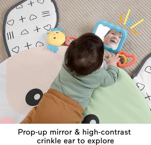 Fisher-Price Baby Tummy Time Toy Puppy Perfection Giant Play Mat with Sensory Development
