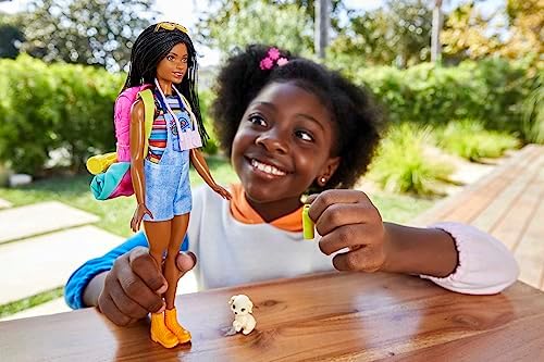 Barbie Doll It Takes Two Malibu Camping Playset
