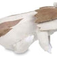 Pokemon Center Linoone Sitting Cuties Plush 7 14 Inch