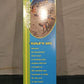 Mattel Ken - Friend of Barbie Surf City 2000 Doll
