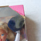 Barbie Florida University Barbie Cheerleader