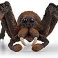 Schleich Wizarding World of Harry Potter Figurine Aragog for Ages 6