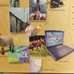 Hasbro Trivial Pursuit 20th Anniversary