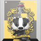 Funko Pop Art Covers Harry Potter - Hufflepuff Shop