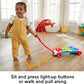 Fisher-Price Baby to Toddler Learning Toy Giant Light-Up Xylophone Pull-Along Musical