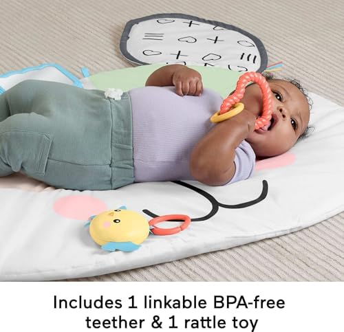 Fisher-Price Baby Tummy Time Toy Puppy Perfection Giant Play Mat with Sensory Development